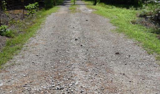 Photo #20 of SOLD property in Off Bay City Road, Bayboro, NC 352.0 acres