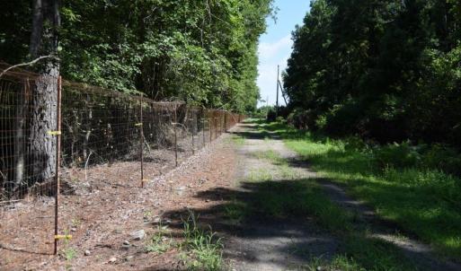 Photo #23 of SOLD property in Off Bay City Road, Bayboro, NC 352.0 acres