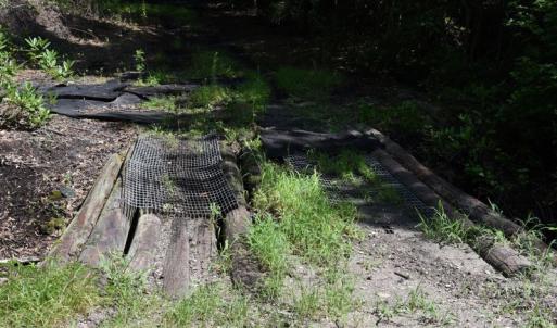 Photo #24 of SOLD property in Off Bay City Road, Bayboro, NC 352.0 acres