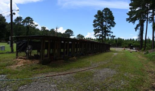 Photo #28 of SOLD property in Off Bay City Road, Bayboro, NC 352.0 acres