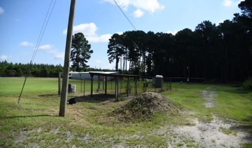 Photo #31 of SOLD property in Off Bay City Road, Bayboro, NC 352.0 acres