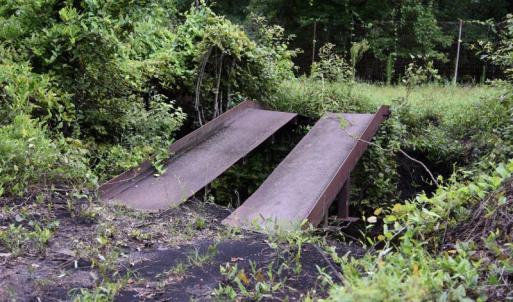 Photo #36 of SOLD property in Off Bay City Road, Bayboro, NC 352.0 acres