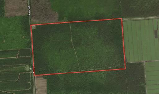 Photo #1 of SOLD property in Off Bay City Road, Bayboro, NC 352.0 acres
