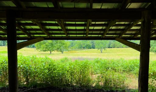 Photo #29 of SOLD property in 2235 Cherry Grove Road, Yanceyville, NC 4.6 acres