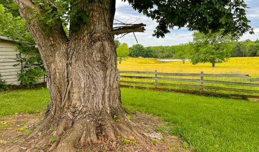 Photo #54 of SOLD property in 2235 Cherry Grove Road, Yanceyville, NC 4.6 acres