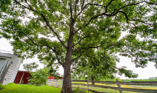 Photo #55 of SOLD property in 2235 Cherry Grove Road, Yanceyville, NC 4.6 acres