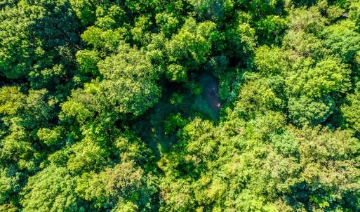 Photo #10 of SOLD property in Off Pairs Road, Emporia, VA 9.2 acres