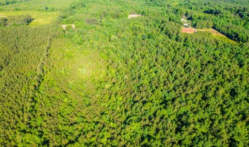 Photo #12 of SOLD property in Off Pairs Road, Emporia, VA 9.2 acres