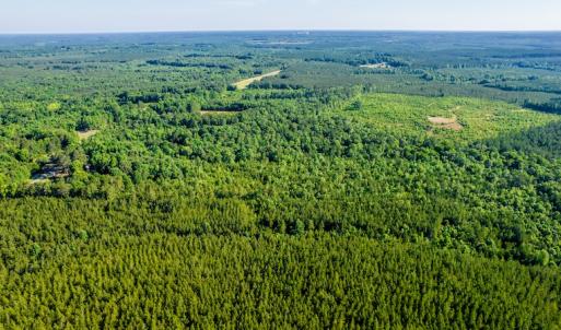 Photo #13 of SOLD property in Off Pairs Road, Emporia, VA 9.2 acres