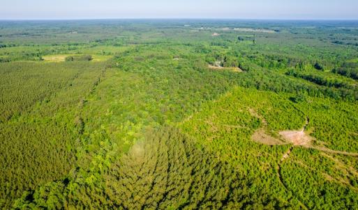 Photo #14 of SOLD property in Off Pairs Road, Emporia, VA 9.2 acres