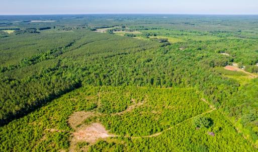 Photo #15 of SOLD property in Off Pairs Road, Emporia, VA 9.2 acres
