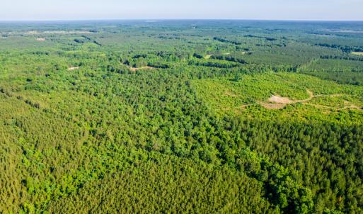 Photo #19 of SOLD property in Off Pairs Road, Emporia, VA 9.2 acres
