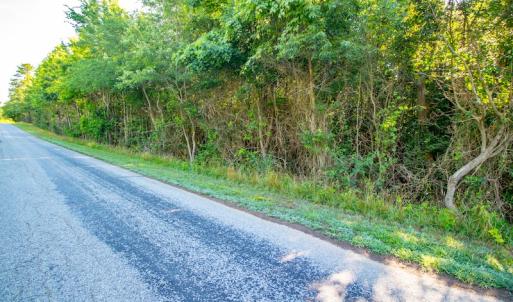 Photo #6 of SOLD property in Off Pairs Road, Emporia, VA 9.2 acres