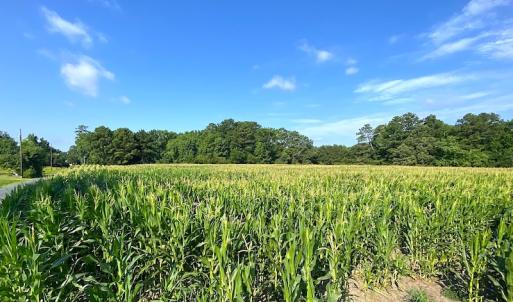 Photo #6 of SOLD property in Off Guard Shore Drive, Bloxom, VA 4.0 acres