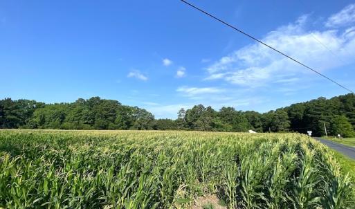 Photo #7 of SOLD property in Off Guard Shore Drive, Bloxom, VA 4.0 acres