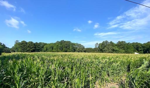 Photo #8 of SOLD property in Off Guard Shore Drive, Bloxom, VA 4.0 acres