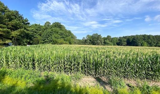 Photo #10 of SOLD property in Off Guard Shore Drive, Bloxom, VA 4.0 acres