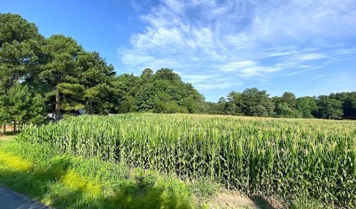 Photo #12 of SOLD property in Off Guard Shore Drive, Bloxom, VA 4.0 acres