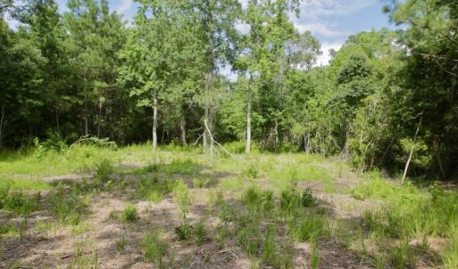 Photo #19 of Off Tarpon Pointe, Bath, NC 2.7 acres