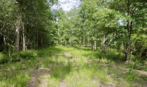 Photo #20 of Off Tarpon Pointe, Bath, NC 2.7 acres