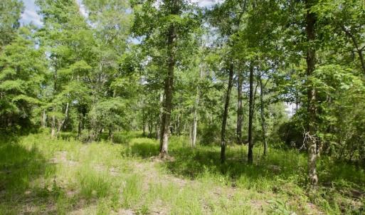Photo #21 of Off Tarpon Pointe, Bath, NC 2.7 acres