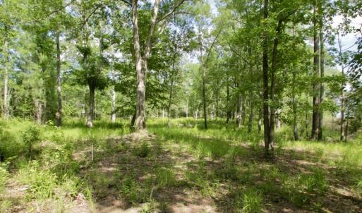 Photo #22 of Off Tarpon Pointe, Bath, NC 2.7 acres