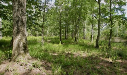Photo #24 of Off Tarpon Pointe, Bath, NC 2.7 acres