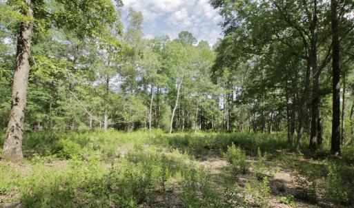 Photo #25 of Off Tarpon Pointe, Bath, NC 2.7 acres