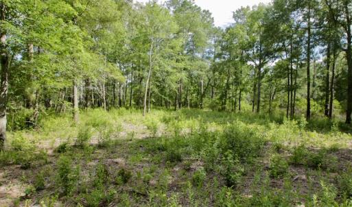 Photo #26 of Off Tarpon Pointe, Bath, NC 2.7 acres