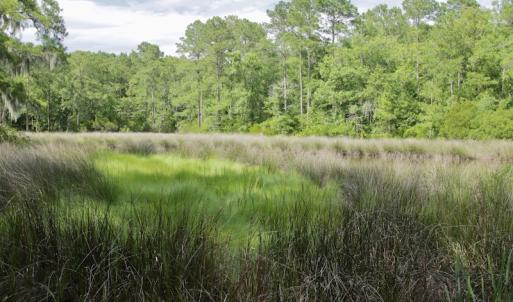 Photo #27 of Off Tarpon Pointe, Bath, NC 2.7 acres