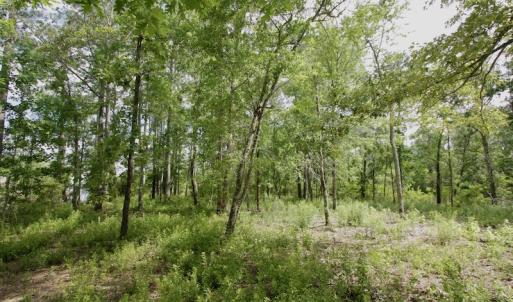 Photo #28 of Off Tarpon Pointe, Bath, NC 2.7 acres