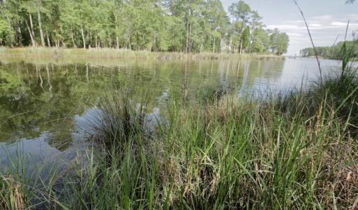 Photo #33 of Off Tarpon Pointe, Bath, NC 2.7 acres