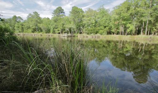 Photo #34 of Off Tarpon Pointe, Bath, NC 2.7 acres