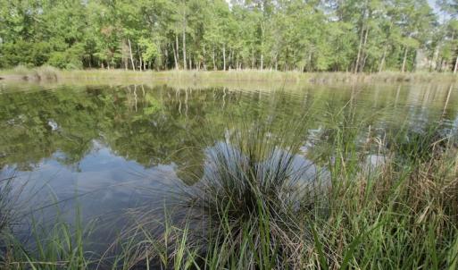 Photo #35 of Off Tarpon Pointe, Bath, NC 2.7 acres