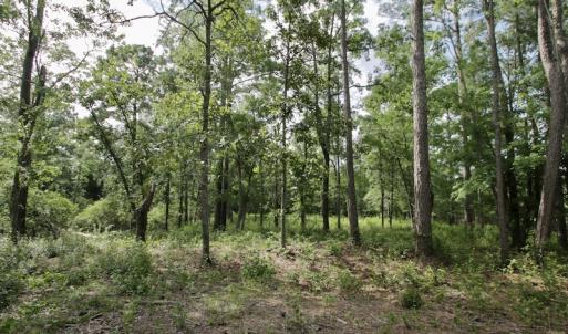 Photo #37 of Off Tarpon Pointe, Bath, NC 2.7 acres