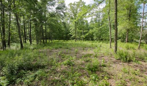 Photo #38 of Off Tarpon Pointe, Bath, NC 2.7 acres