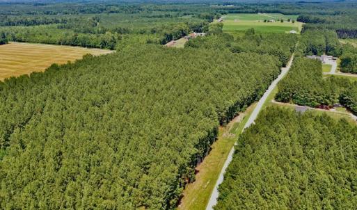 Photo #2 of SOLD property in Off Page Riddick Road, Gates, NC 10.6 acres