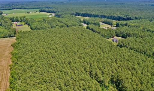 Photo #4 of SOLD property in Off Page Riddick Road, Gates, NC 10.6 acres