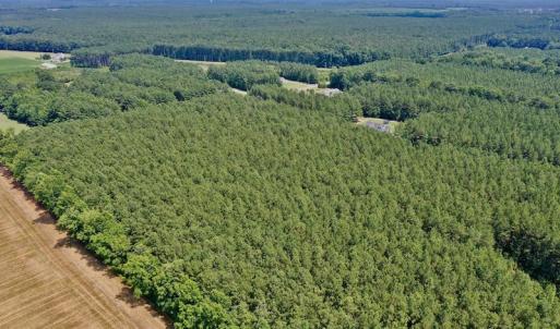 Photo #5 of SOLD property in Off Page Riddick Road, Gates, NC 10.6 acres
