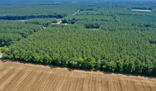 Photo #6 of SOLD property in Off Page Riddick Road, Gates, NC 10.6 acres
