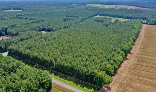 Photo #7 of SOLD property in Off Page Riddick Road, Gates, NC 10.6 acres
