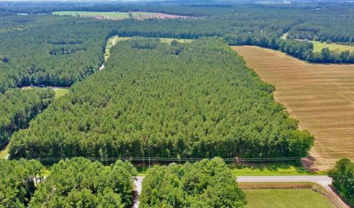 Photo #8 of SOLD property in Off Page Riddick Road, Gates, NC 10.6 acres