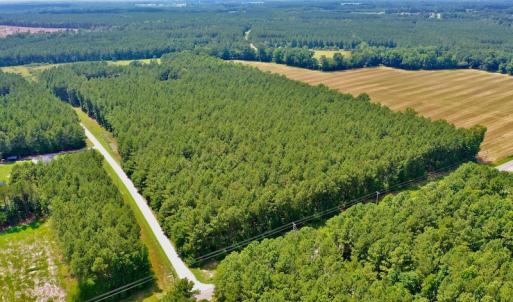 Photo #9 of SOLD property in Off Page Riddick Road, Gates, NC 10.6 acres