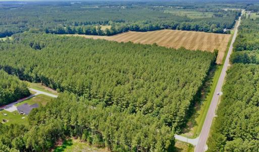 Photo #10 of SOLD property in Off Page Riddick Road, Gates, NC 10.6 acres