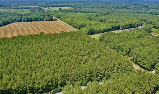 Photo #11 of SOLD property in Off Page Riddick Road, Gates, NC 10.6 acres