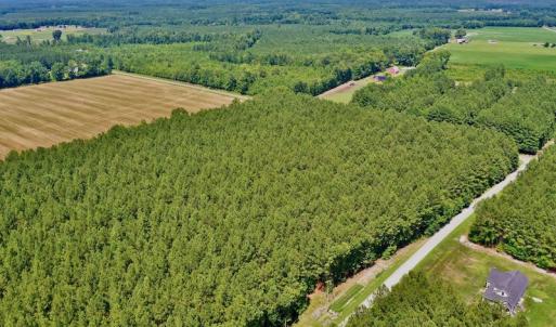 Photo #12 of SOLD property in Off Page Riddick Road, Gates, NC 10.6 acres