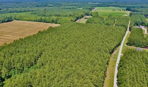 Photo #13 of SOLD property in Off Page Riddick Road, Gates, NC 10.6 acres