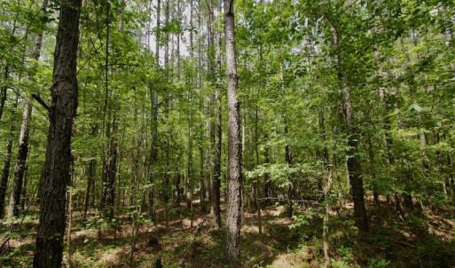 Photo #17 of SOLD property in Off Page Riddick Road, Gates, NC 10.6 acres
