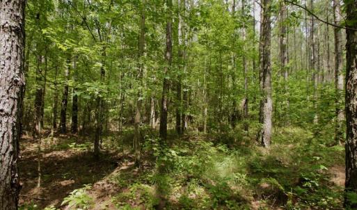 Photo #19 of SOLD property in Off Page Riddick Road, Gates, NC 10.6 acres