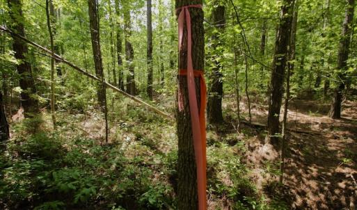 Photo #20 of SOLD property in Off Page Riddick Road, Gates, NC 10.6 acres